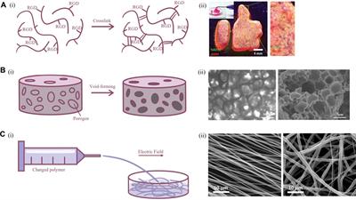 Recent progresses in novel in vitro models of primary neurons: A biomaterial perspective